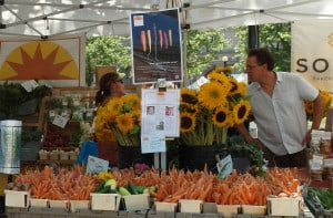 Vegetables at Sienna Farms