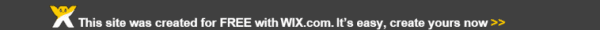 Sample Wix footer
